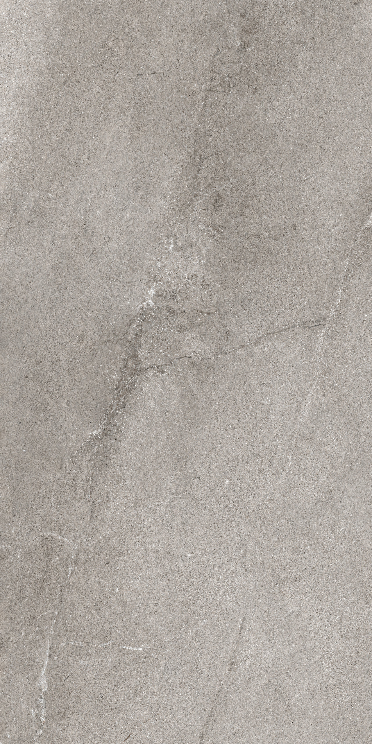 : Grès cérame gris aspect pierre naturelle, veinage discret.