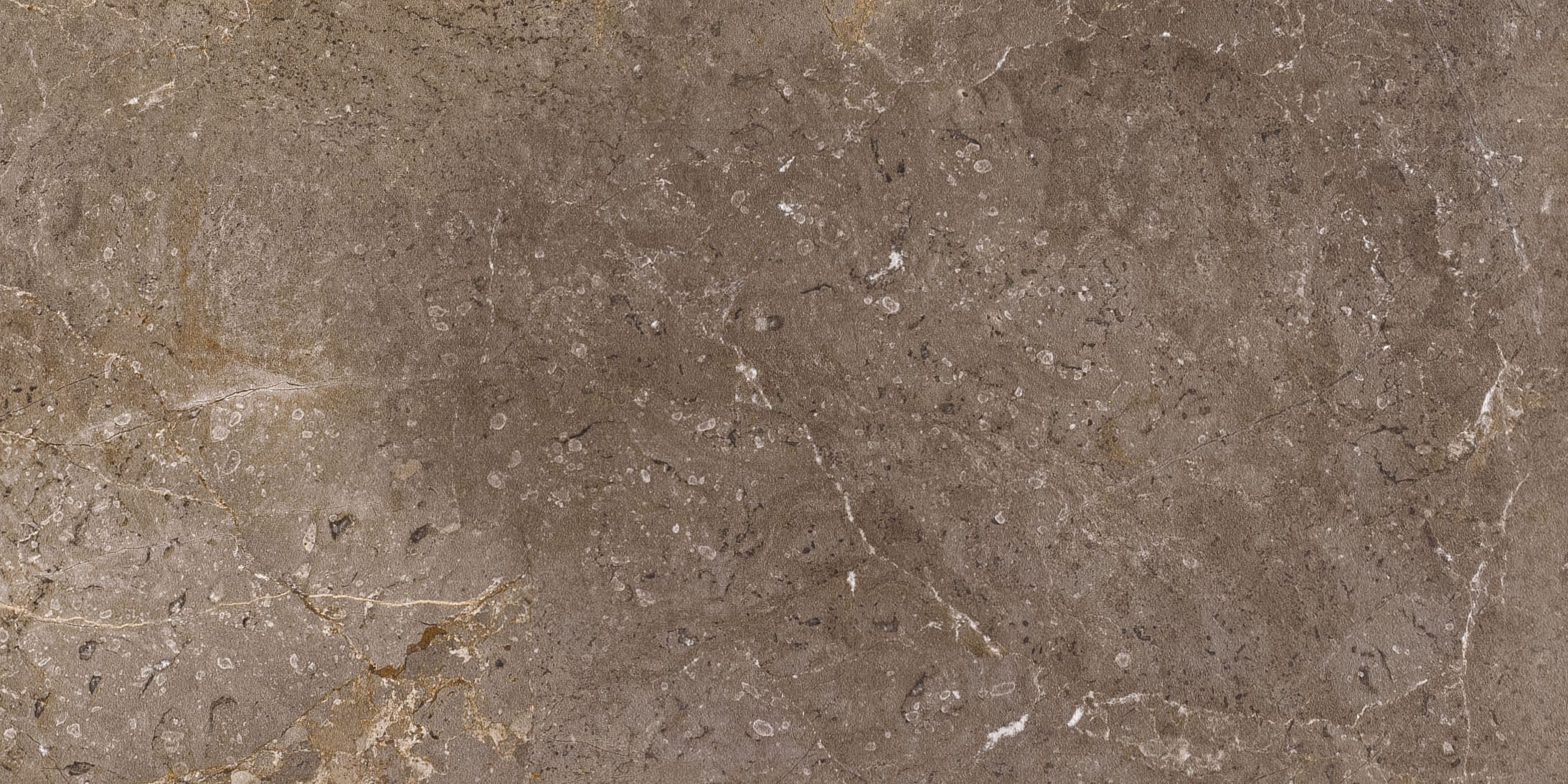 : Carrelage en grès cérame marron aspect pierre naturelle avec veinage fin.