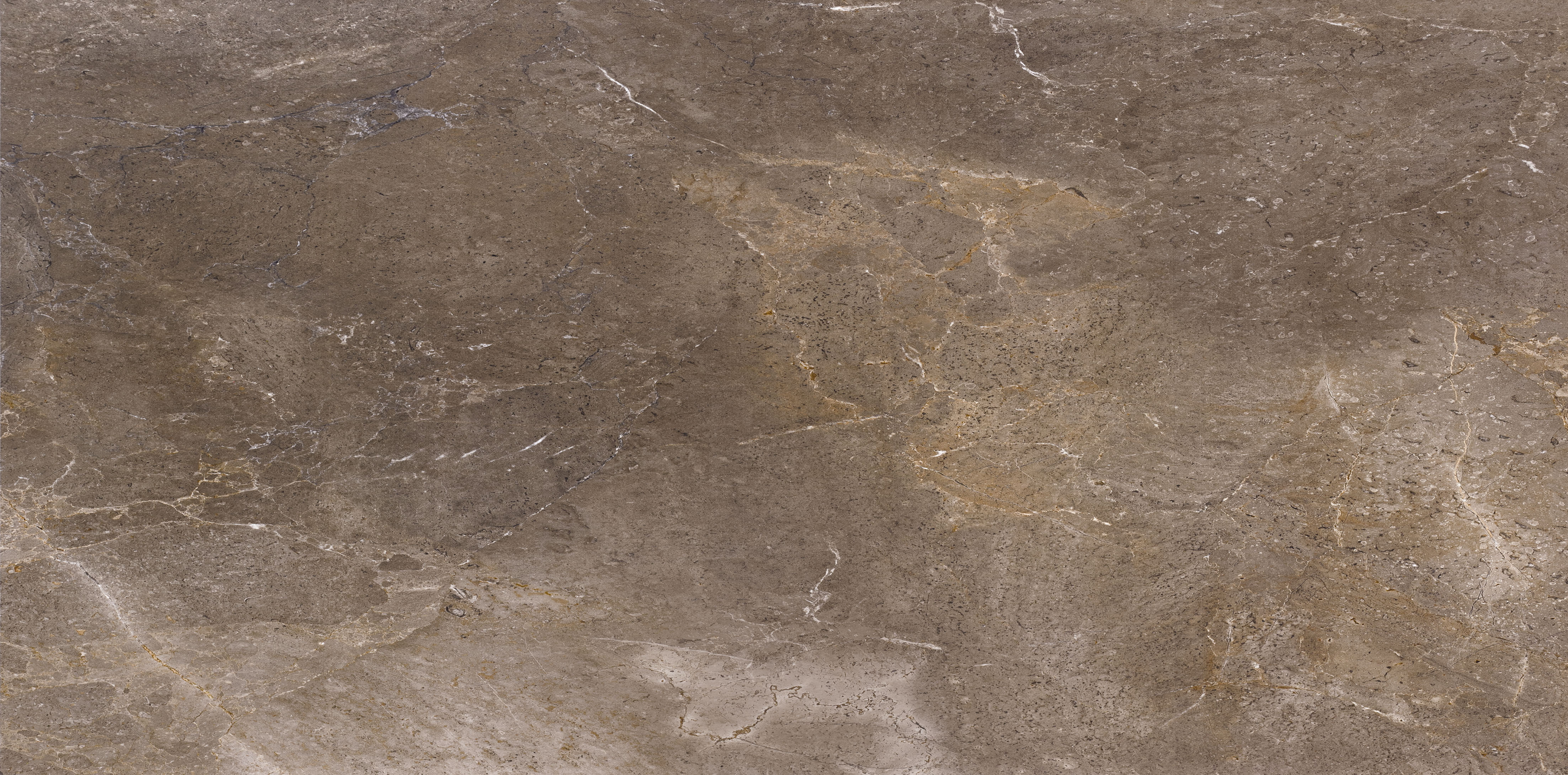 Imperial Brown Carrelage gris-brun marbré clair.