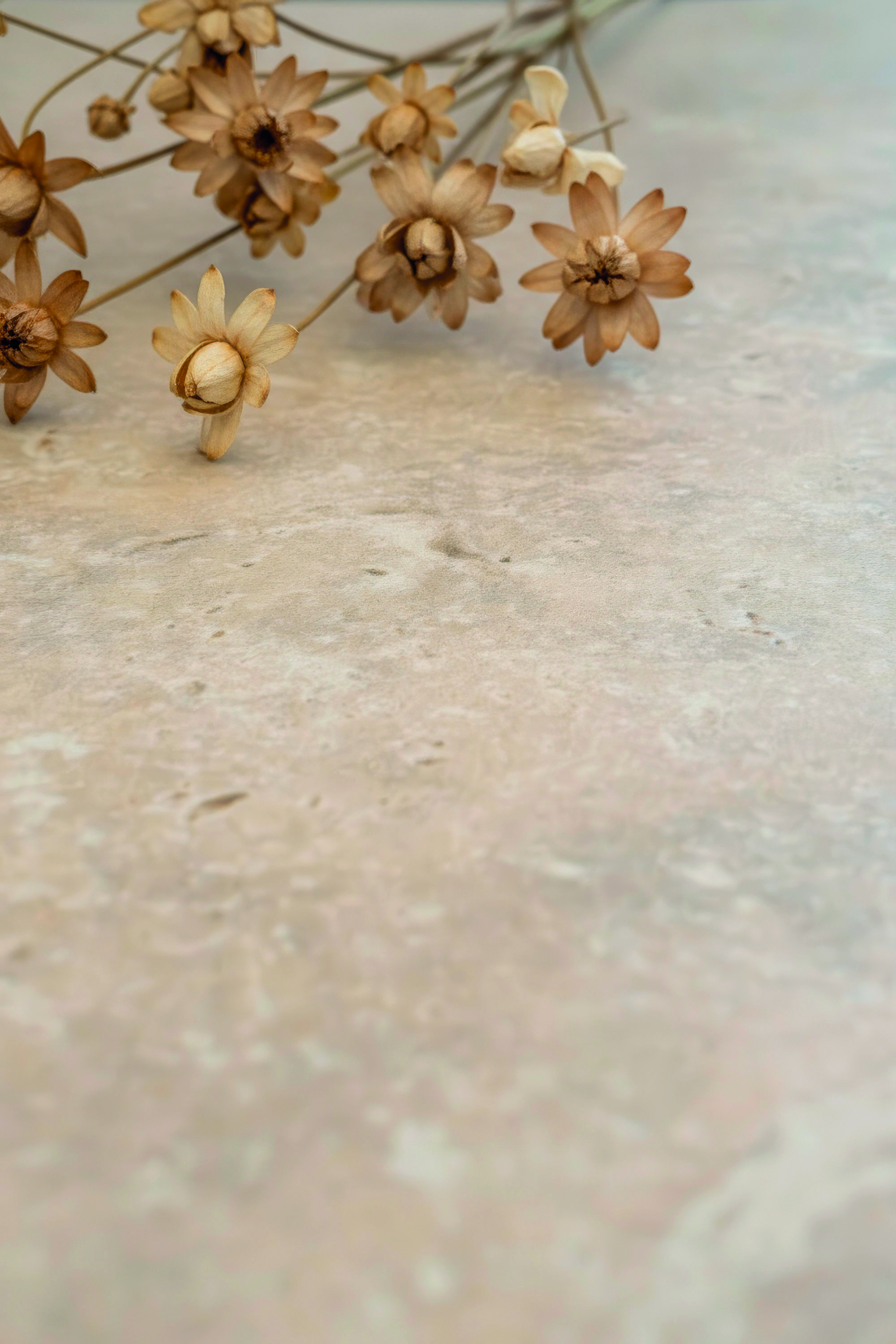 Carrelage beige aspect pierre naturelle, décoré de fleurs séchées.