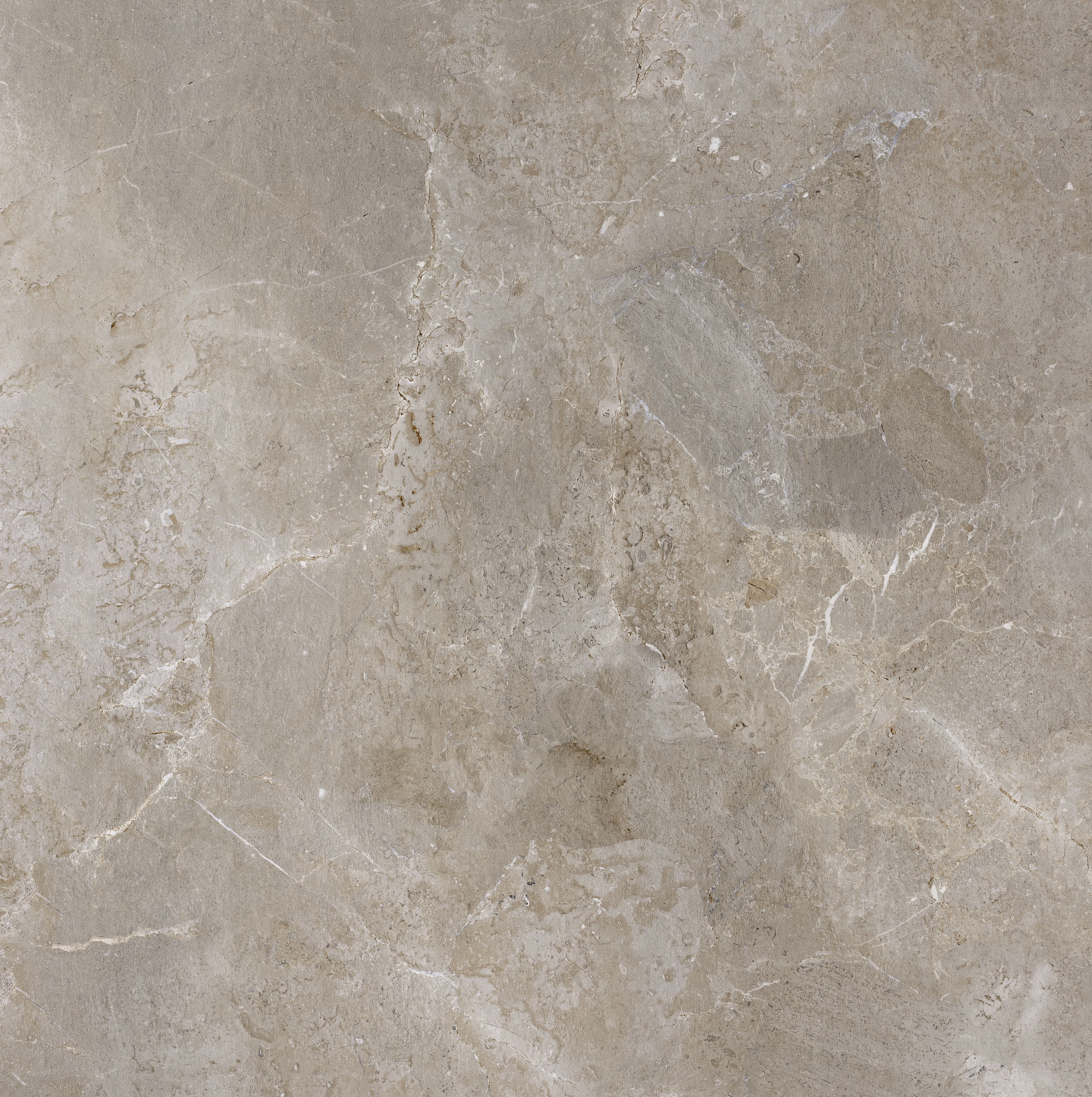 Palladium Grey Carrelage de haute qualité en beige-gris avec un aspect pierre naturelle discret.