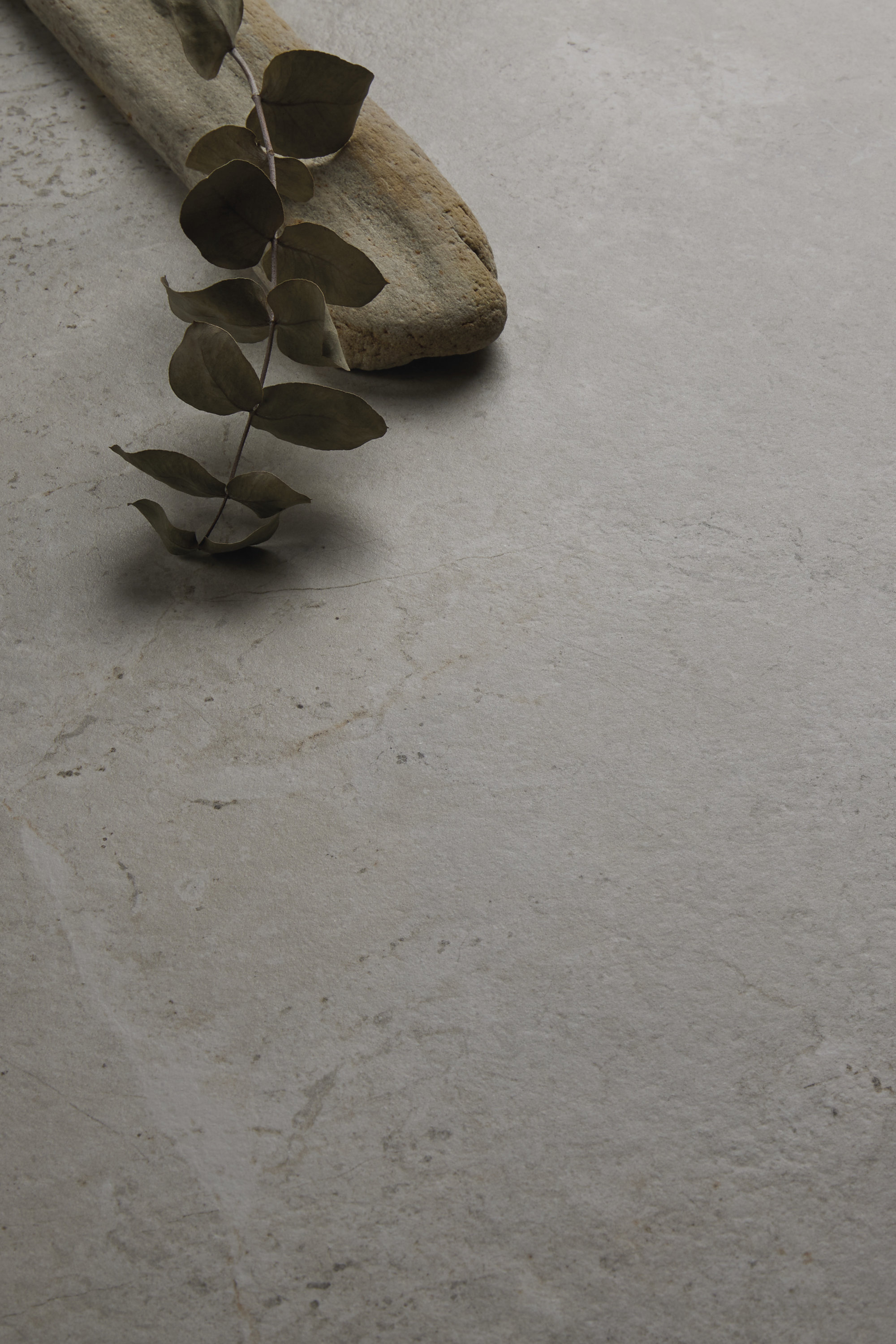 Carrelage clair et texturé effet pierre, décoré de bois flotté et d'eucalyptus.