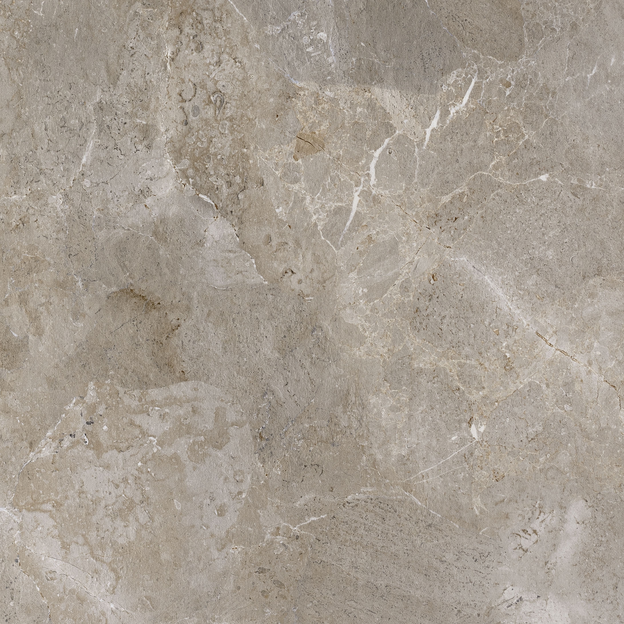 Palladium Grey Élégante dalle gris-beige avec marbrure naturelle, intérieur & extérieur.