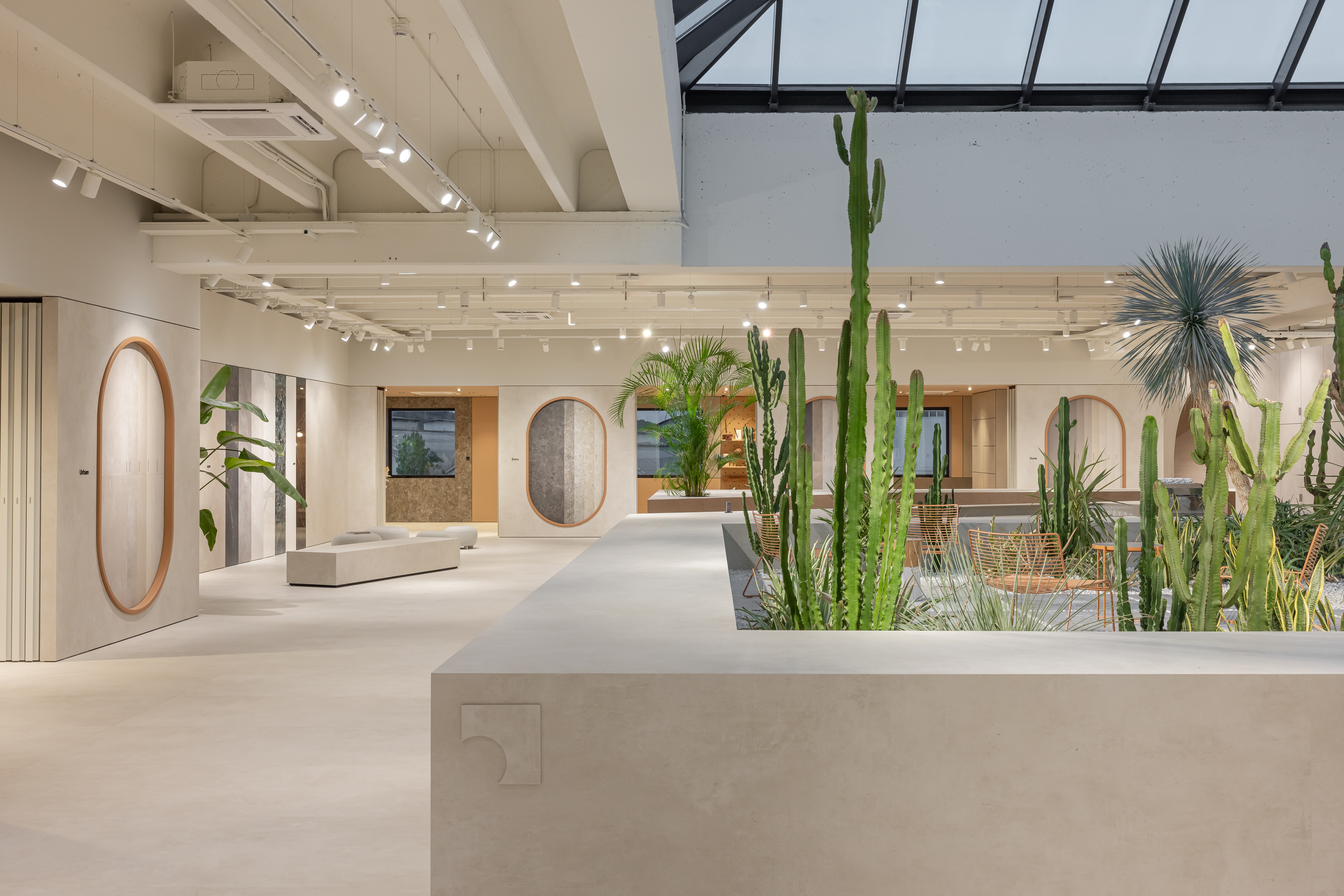 Spacieux showroom de carrelage avec carreaux modernes pour intérieur et extérieur et cactus.