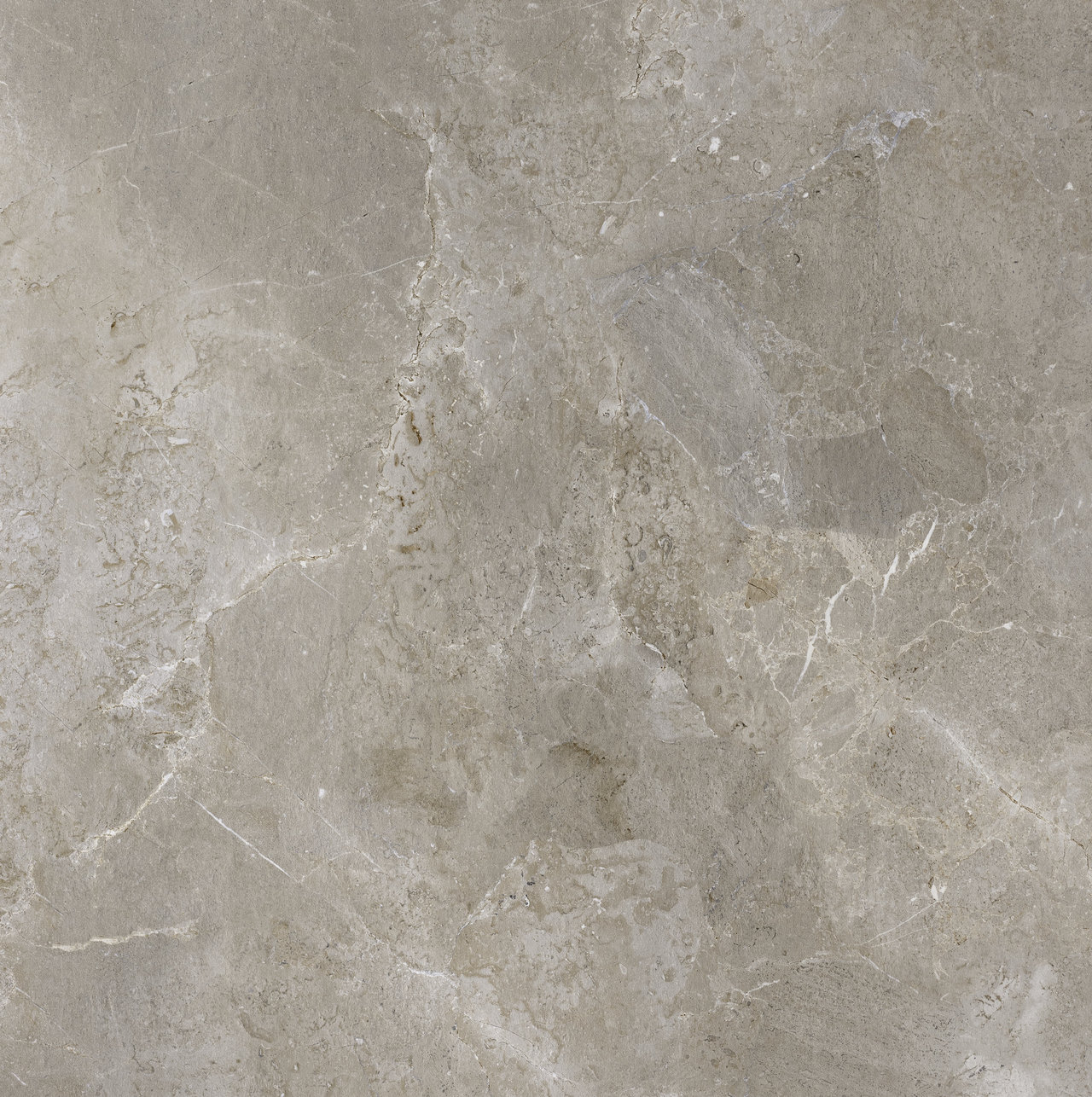 Palladium Grey Grès cérame clair aspect béton.