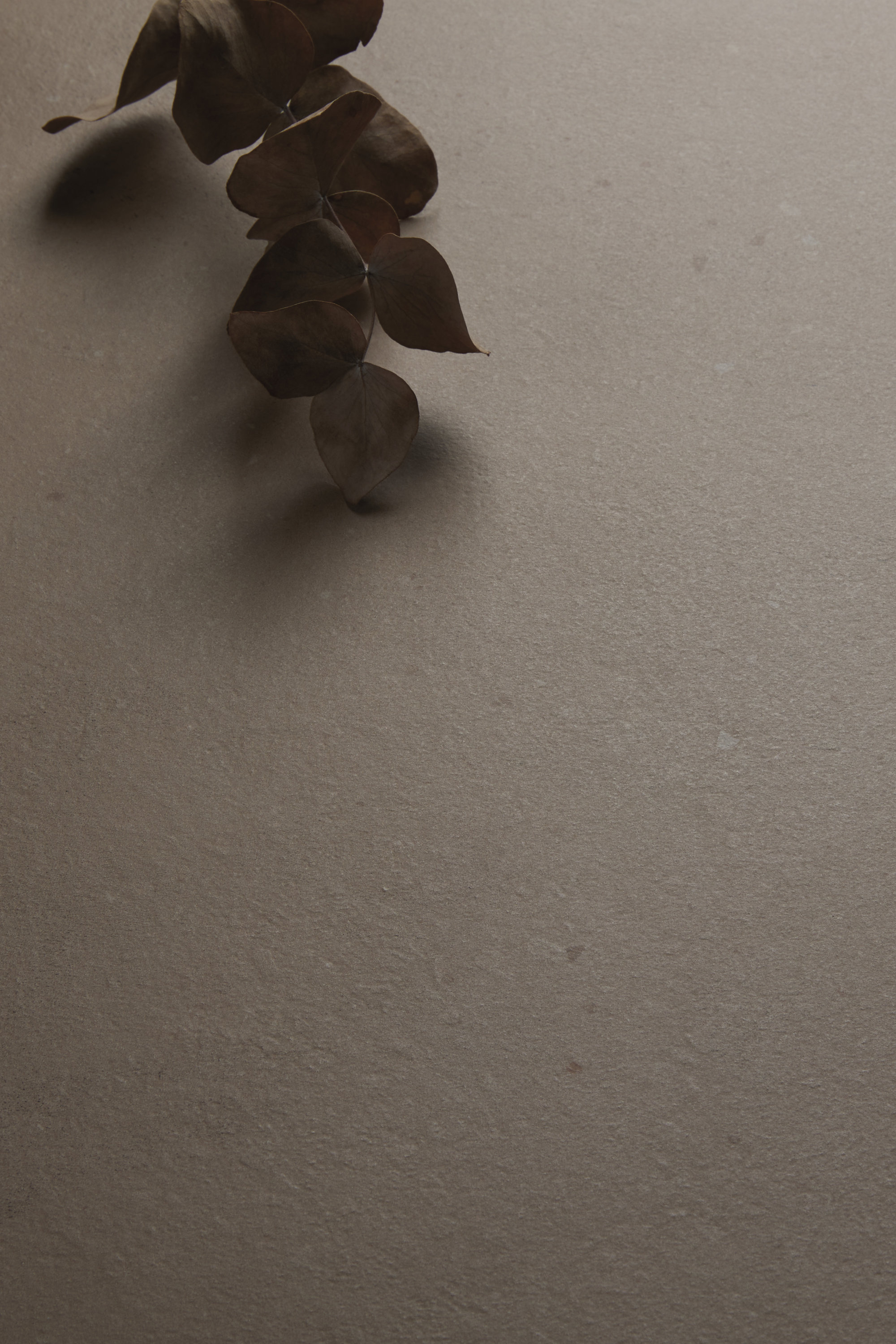 Surface de carrelage beige avec des feuilles séchées.