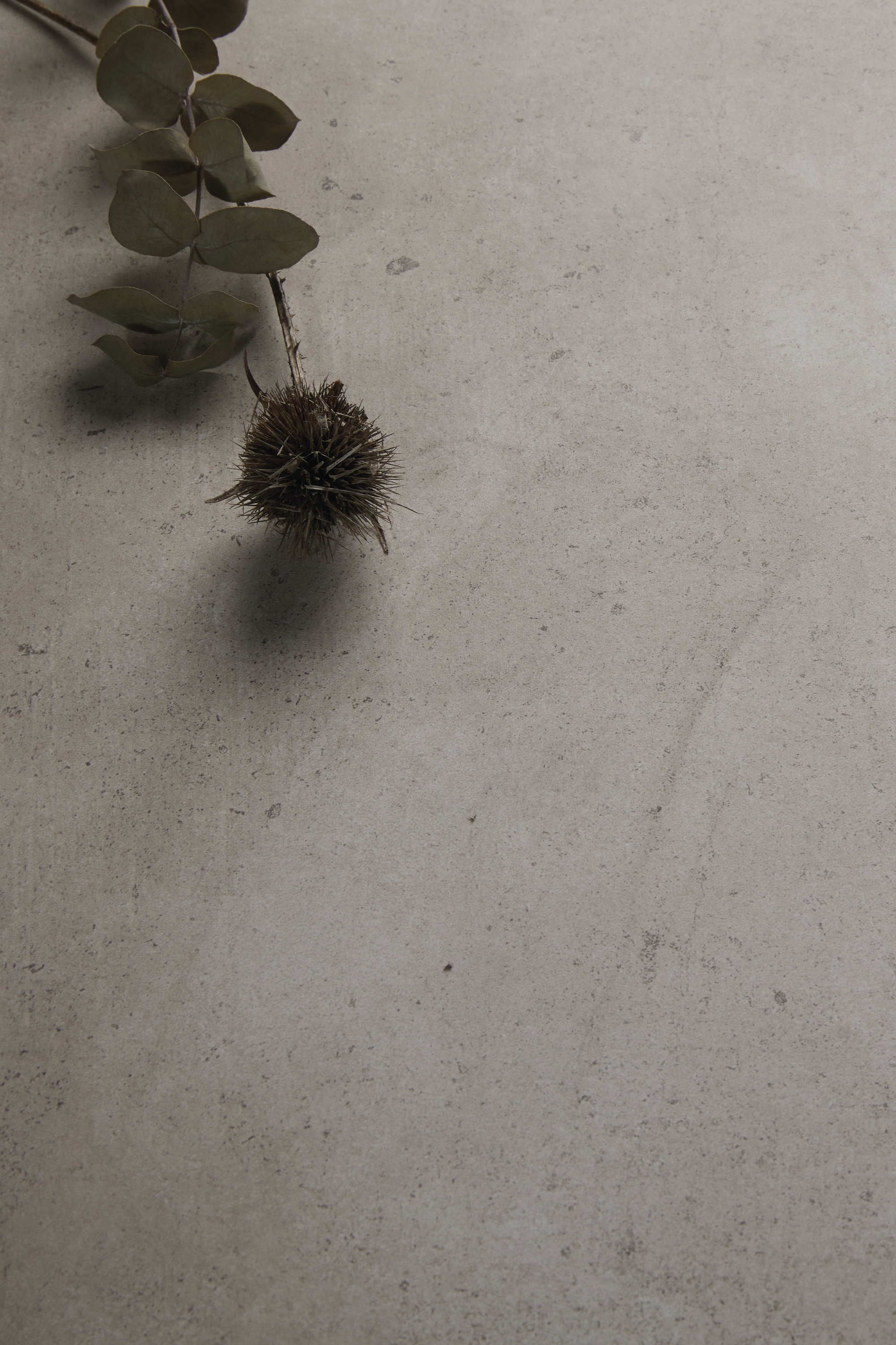 Branche naturelle sur un élégant carreau gris clair texturé.